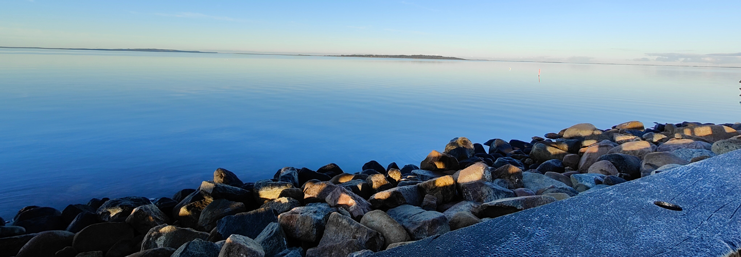 Rønbjerg Havn til Livø
